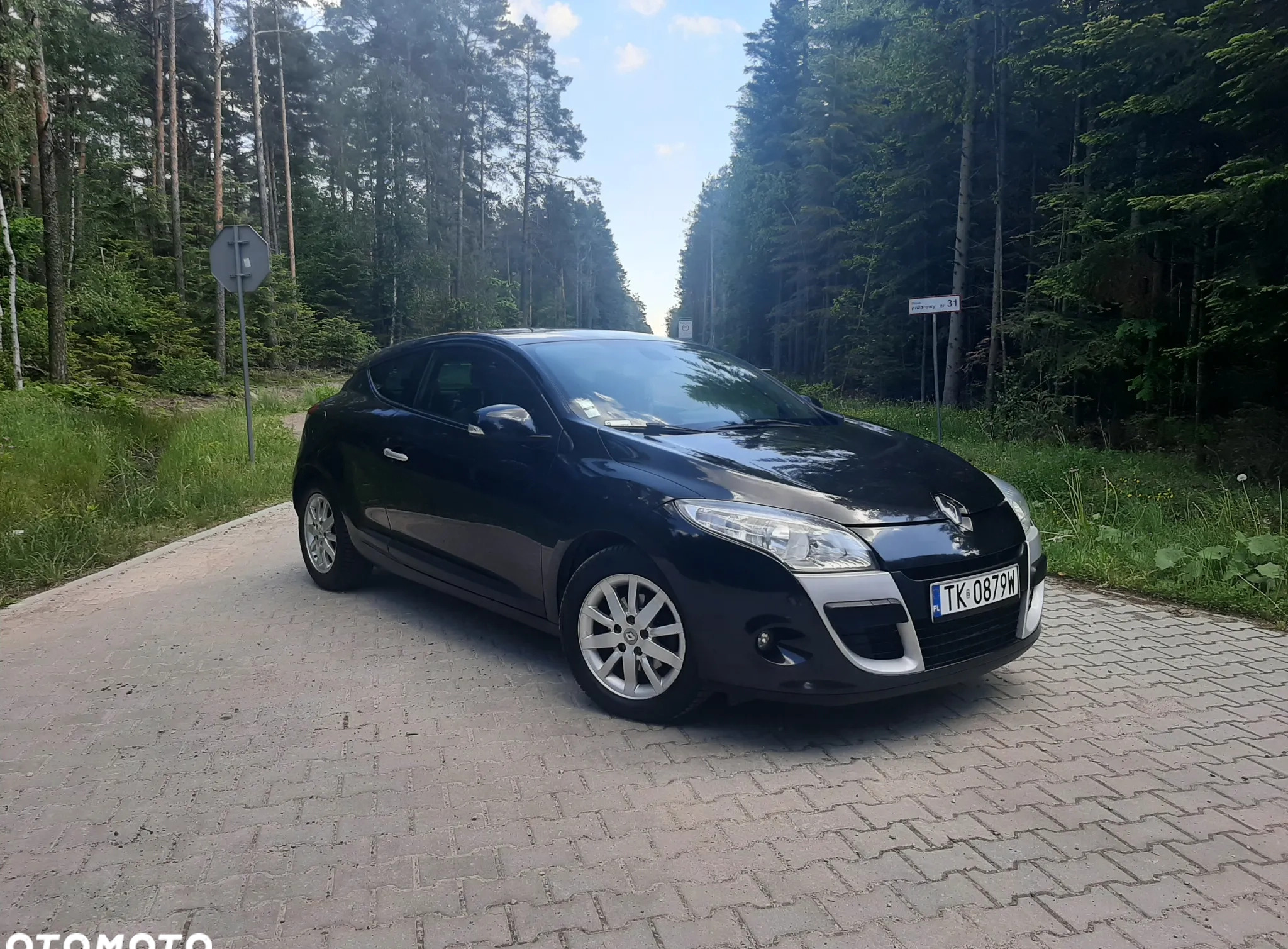 Renault Megane cena 17900 przebieg: 235190, rok produkcji 2010 z Marki małe 154